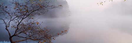 Lake Vesuvius, Wayne National Forest, Ohio, by Panoramic Images art print