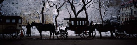 Horse Drawn Carriages, Chicago, Illinois by Panoramic Images art print