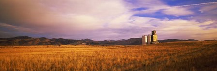 Grain Elevator, Fairfield, ID by Panoramic Images art print