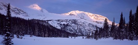 Trophy Mountain, British Columbia, Canada by Panoramic Images art print