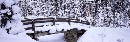 Snowy Bridge in Banff National Park, Alberta, Canada by Panoramic Images art print