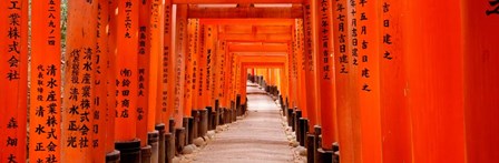 Tunnel of Torii Gates, Fushimi Inari Shrine, Japan by Panoramic Images art print