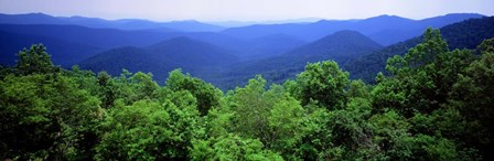 Smoky Mountain National Park, Tennessee by Panoramic Images art print