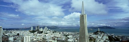 Skyline with Transamerica Building, San Fransisco by Panoramic Images art print