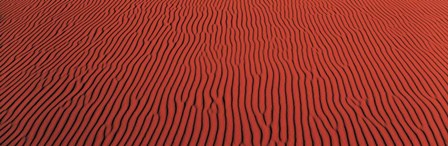 Coral Pink Sand,UT by Panoramic Images art print