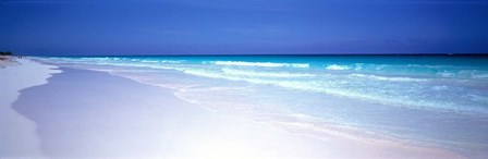 Pink Sand Beach, Bahamas by Panoramic Images art print