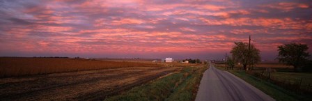 Road in Illinois by Panoramic Images art print