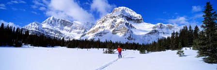 Skier Ptarmigan Peak Wall of Jericho, Skoki Valley, Canada by Panoramic Images art print