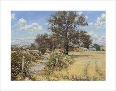 Summer Farm by Mervyn Goode art print