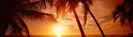 Fort Meyers Florida Sunset by Panoramic Images art print