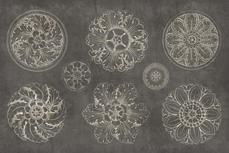 Rosette IX Gray by Wild Apple Portfolio art print