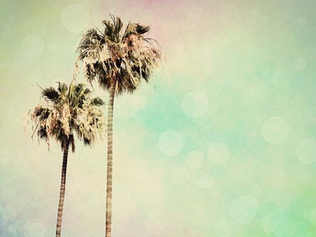 Palm Trees I by Sylvia Coomes art print