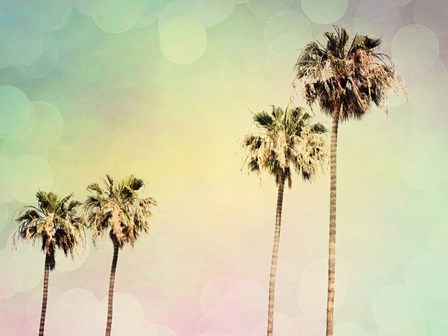 Palm Trees II by Sylvia Coomes art print