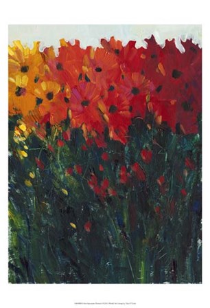 Color Spectrum Flowers I by Timothy O&#39;Toole art print