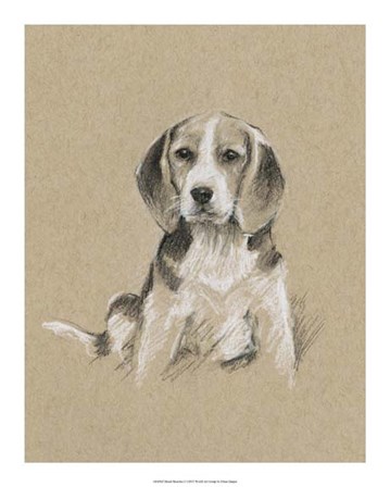 Breed Sketches I by Ethan Harper art print