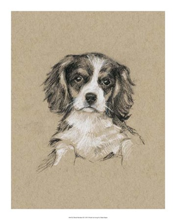 Breed Sketches III by Ethan Harper art print