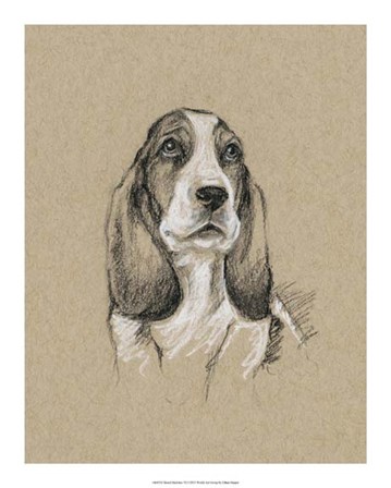 Breed Sketches VI by Ethan Harper art print