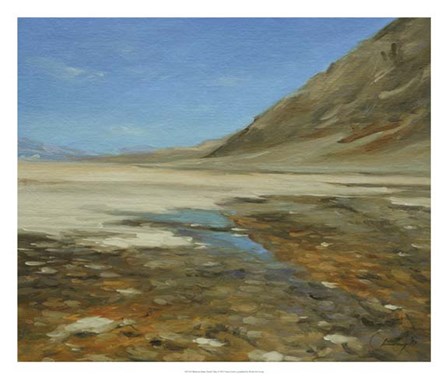 Badwater Basin, Death Valley by Chuck Larivey art print