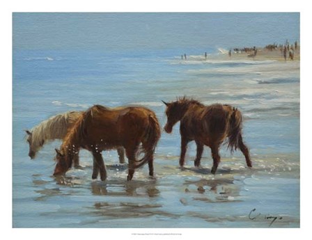 Chincoteague Ponies by Chuck Larivey art print