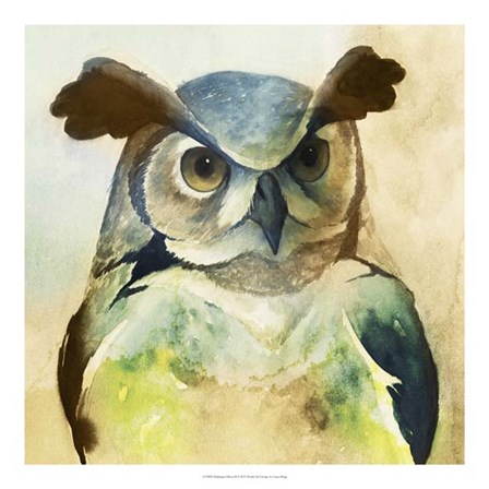 Harlequin Hibou II by Grace Popp art print