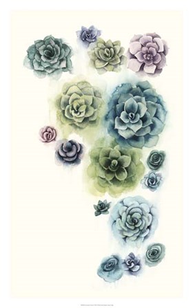 Succulent Cluster I by Grace Popp art print