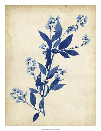 Indigo Leaf Study I by Vision Studio art print