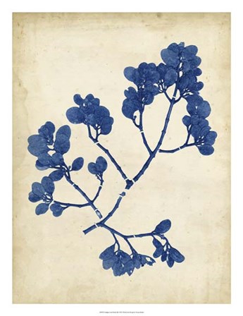 Indigo Leaf Study III by Vision Studio art print