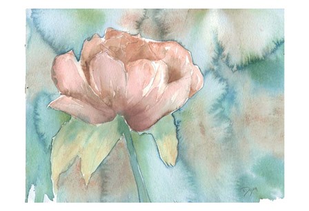 Blush Rose by Beverly Dyer art print