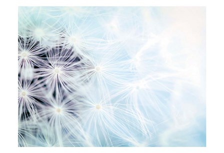 Wishes Blue by Tracey Telik art print