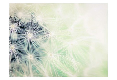 Wishes Mint by Tracey Telik art print