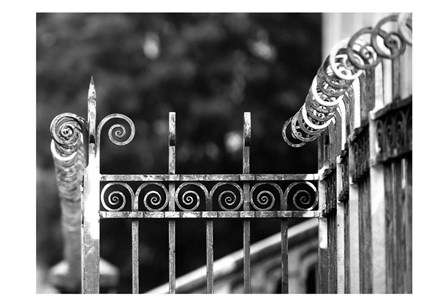 Fence 3 by Tracey Telik art print
