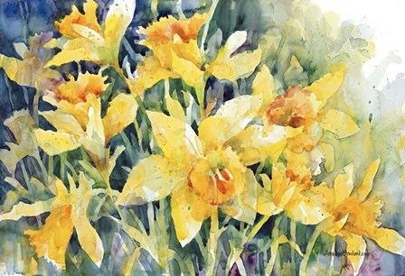 Daffodil Party by Annelein Beukenkamp art print