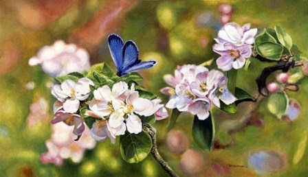 Blue On Pink by Bill Makinson art print