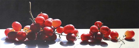 2008 Best of Show Radiant Red by Cecile Baird art print