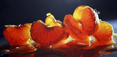Mandarin Orange by Cecile Baird art print