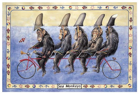 Sea Monkeys by Charlsie Kelly art print