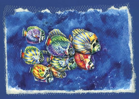 Fish In Net by Charlsie Kelly art print