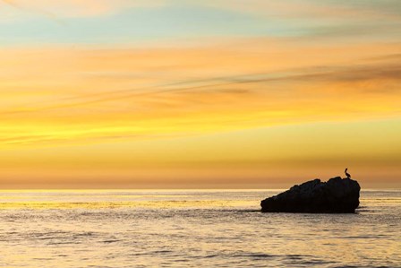 Pelican Sunrise by Chris Moyer art print