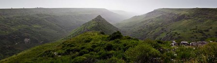 Panorama Israel No 1 by Istvan Nagy art print