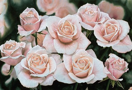 Rose Bouquet by Joel Ogard art print
