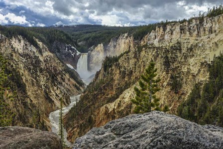 Lower Falls YNP Grand Canyon by Galloimages Online art print