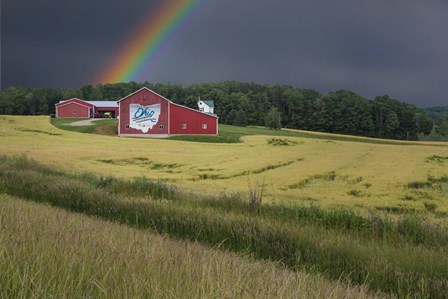 Ohio Farm Rainbow by Galloimages Online art print
