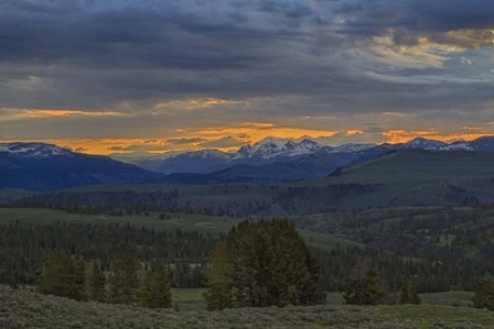 Yellowstone Sunrise by Galloimages Online art print