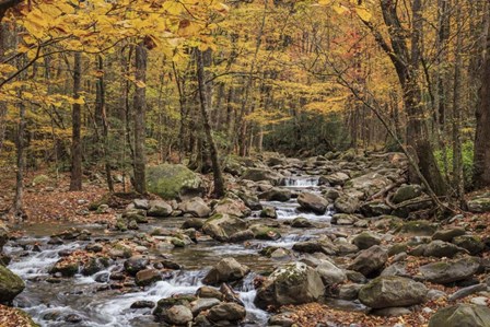 Greenbrier Cascade by Galloimages Online art print