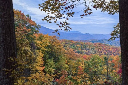 Window To The Smoky Mountains by Galloimages Online art print