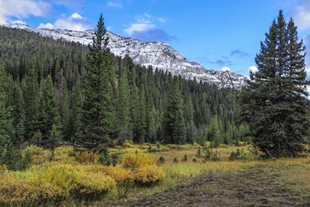 Yellowstone Sbc Landscape by Galloimages Online art print