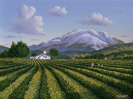 Mount Sta Helena - Napa Valley by Eduardo Camoes art print