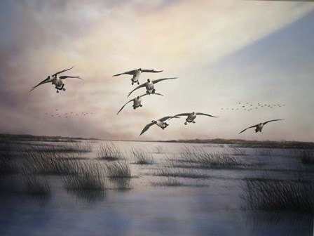 Geese by Clarence Stewart art print