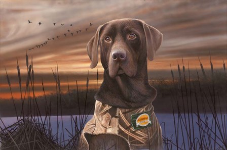 Chocolate Lab In The Sunset by Clarence Stewart art print