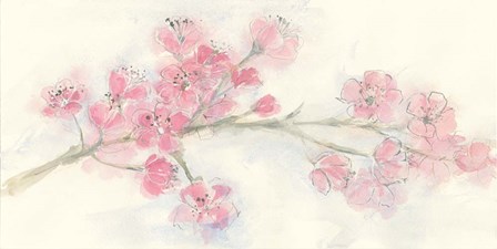 Cherry Blossom I by Chris Paschke art print